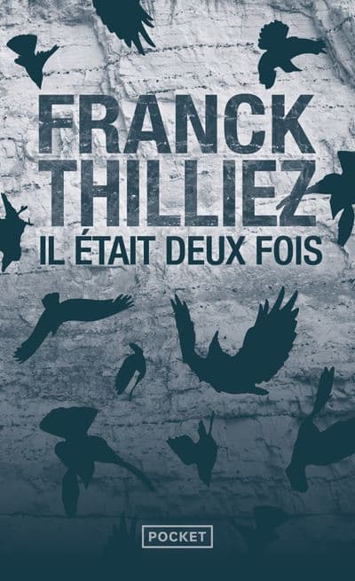 Illustration du livre Il était deux fois